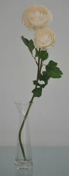 Vara de Ranuculus 50cm, varios colores