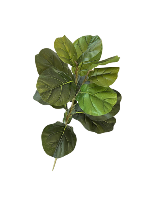 Vara de Pandurata 83cm