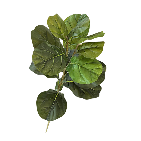 Vara de Pandurata 83cm