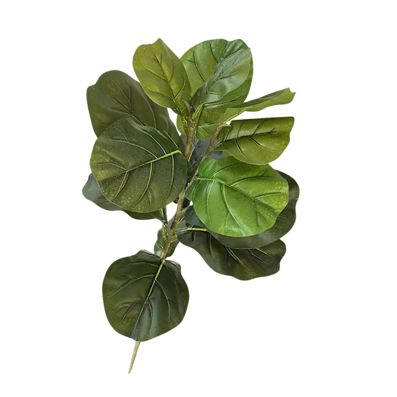Vara de Pandurata 83cm