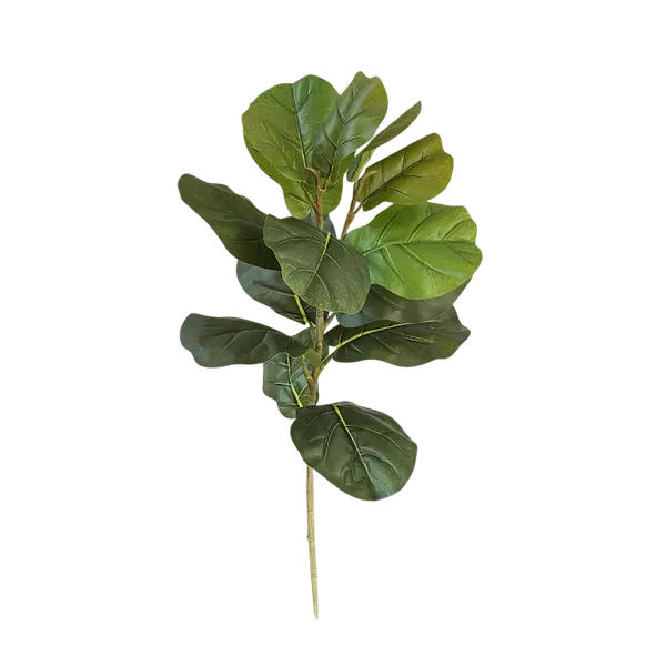 Vara de Pandurata 83cm