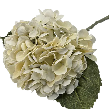 Vara de hortensia soft touch 50cm, dos colores