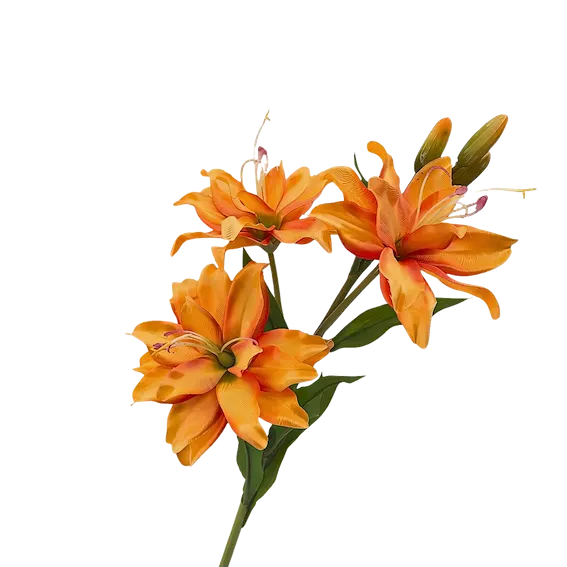 Vara de Lily solange 60cm, dos colores