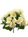 Ramito de flores kalanchoe, dos colores