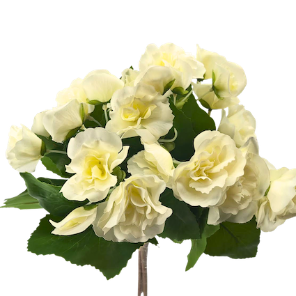 Ramito de flores kalanchoe, dos colores