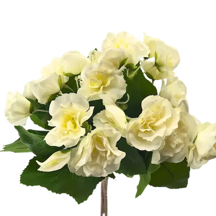Ramito de flores kalanchoe, dos colores