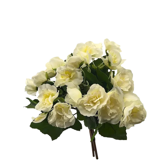 Ramito de flores kalanchoe, dos colores