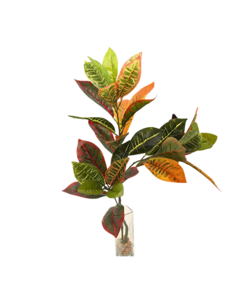 Vara de crotos verde 90cm