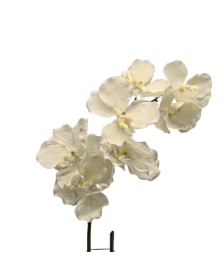 Orquídea mariposa 79cm