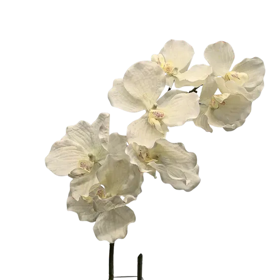 Orquídea mariposa 79cm