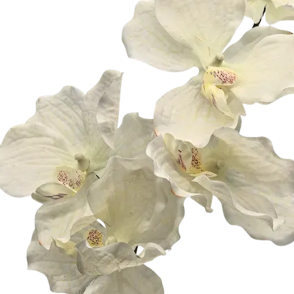 Orquídea mariposa 79cm