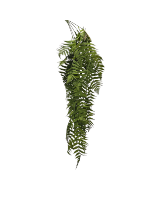 Colgante helecho daluz 75cm