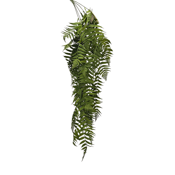 Colgante helecho daluz 75cm