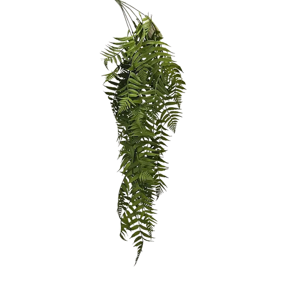 Colgante helecho daluz 75cm