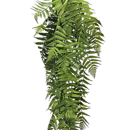 Colgante helecho daluz 75cm