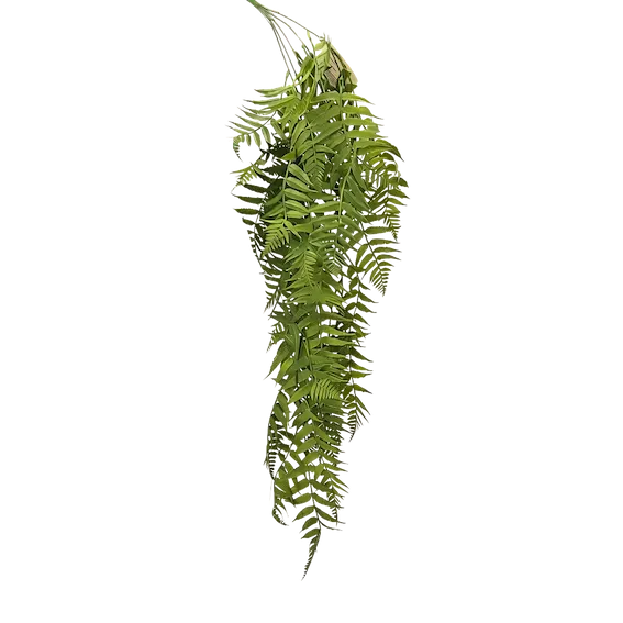 Colgante helecho daluz 75cm