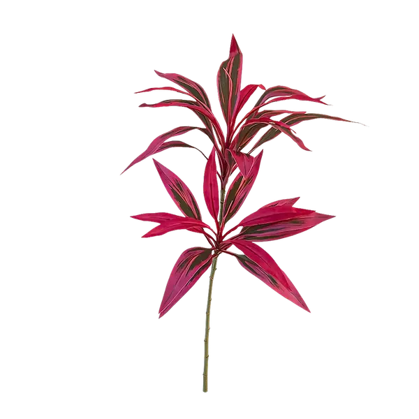 Vara de dracaena morada 100cm