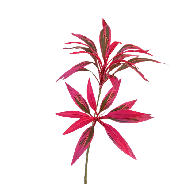 Vara de dracaena morada 100cm