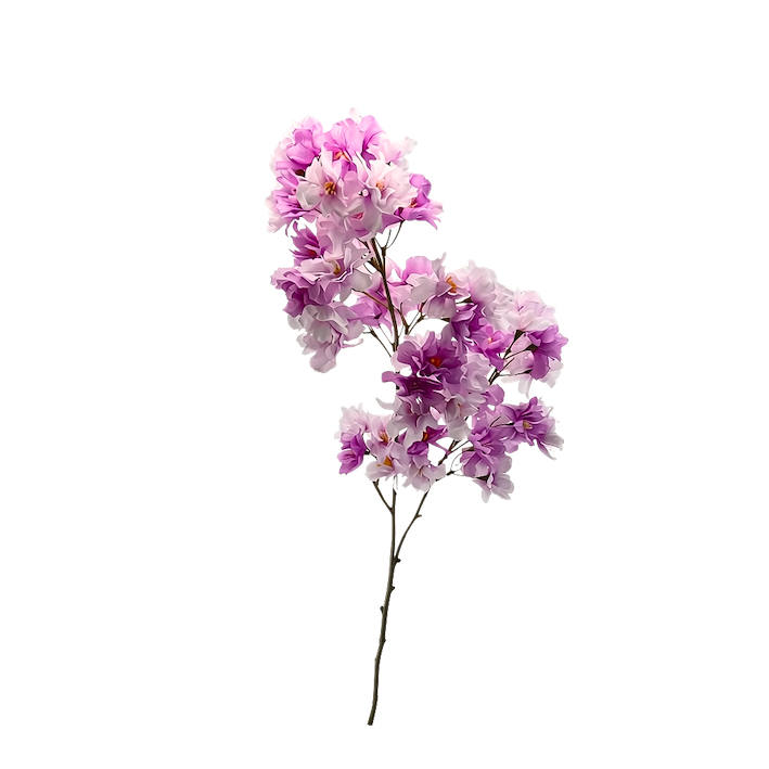 Cerezo japonés 95cm, tres colores