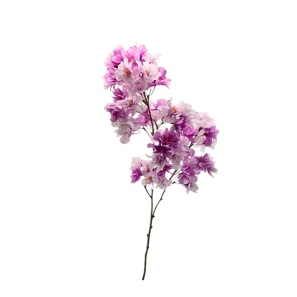 Cerezo japonés 95cm, tres colores