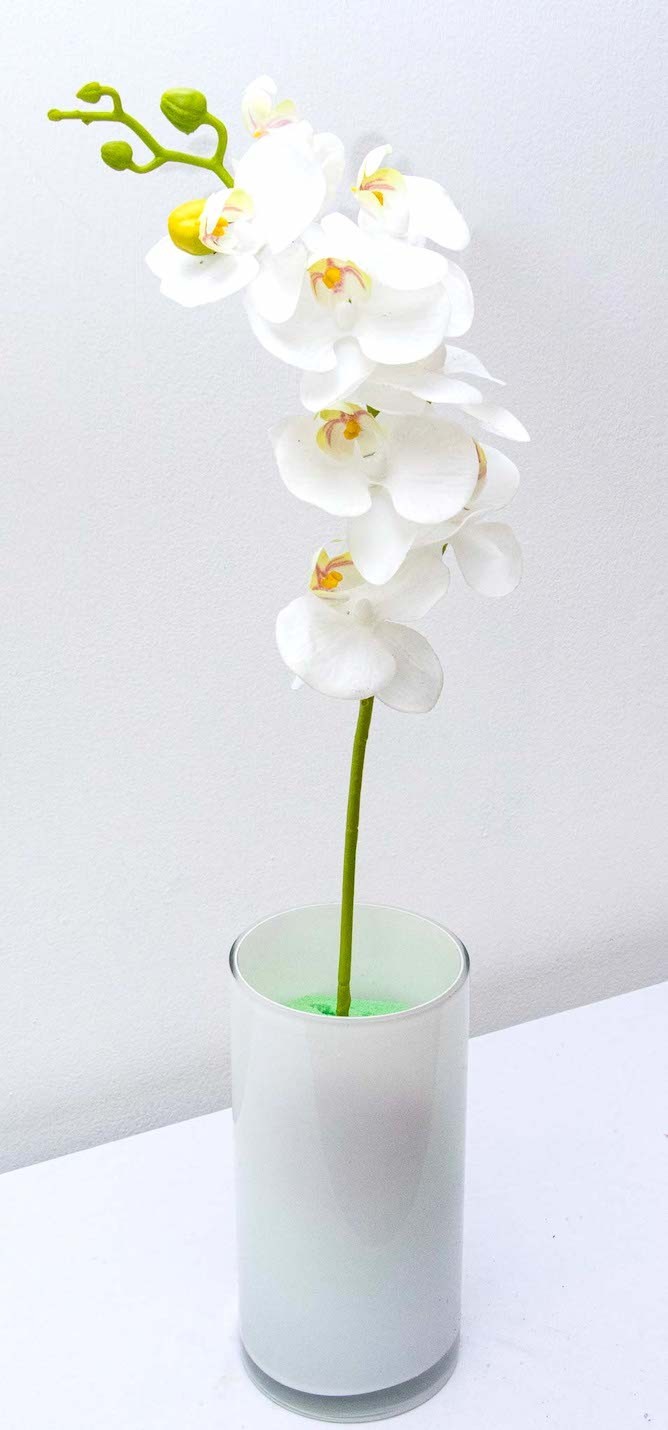 Orquídea 7 flores y un botón 60cm