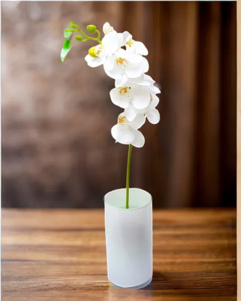 Orquídea 7 flores y un botón 60cm