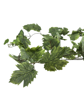 Guía de hoja de maple 180cm