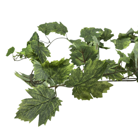 Guía de hoja de maple 180cm
