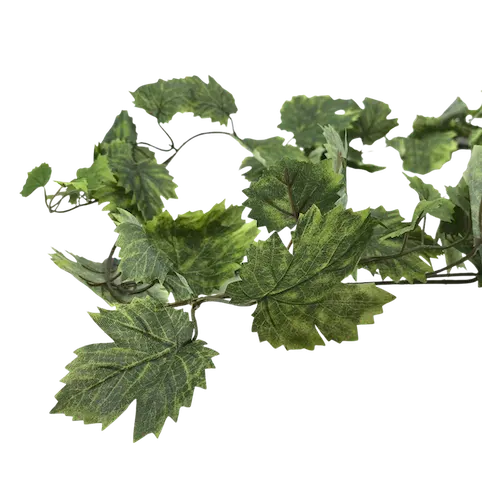 Guía de hoja de maple 180cm