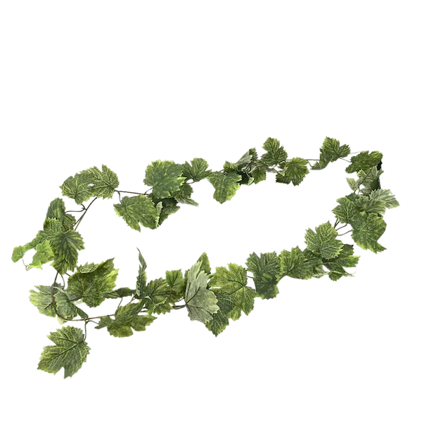 Guía de hoja de maple 180cm