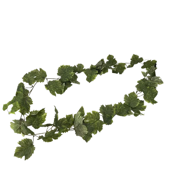 Guía de hoja de maple 180cm