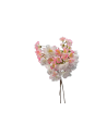Ramito de flor de manzano silvestre, dos colores