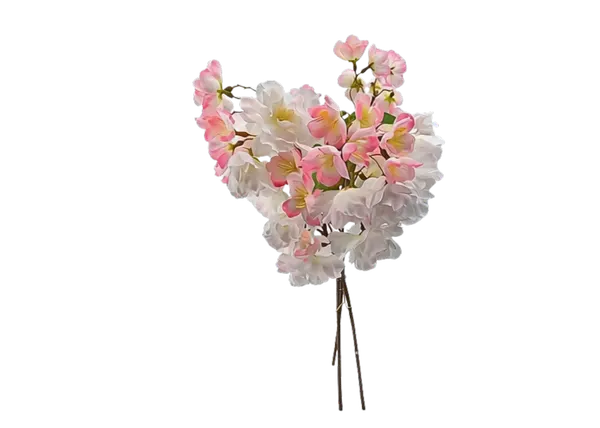 Ramito de flor de manzano silvestre, dos colores