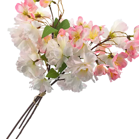 Ramito de flor de manzano silvestre, dos colores