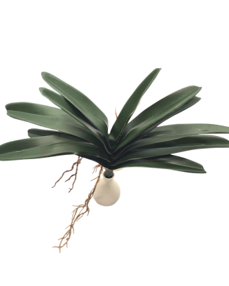 Follaje de orquídea iles 45cm