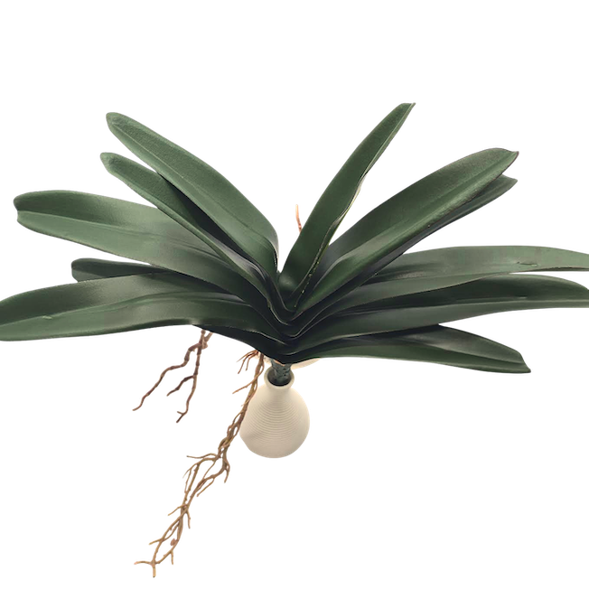 Follaje de orquídea iles 45cm