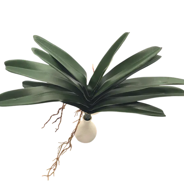 Follaje de orquídea iles 45cm