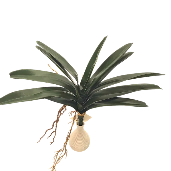 Follaje de orquídea iles 45cm