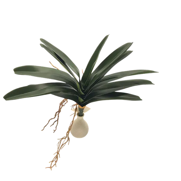 Follaje de orquídea iles 45cm