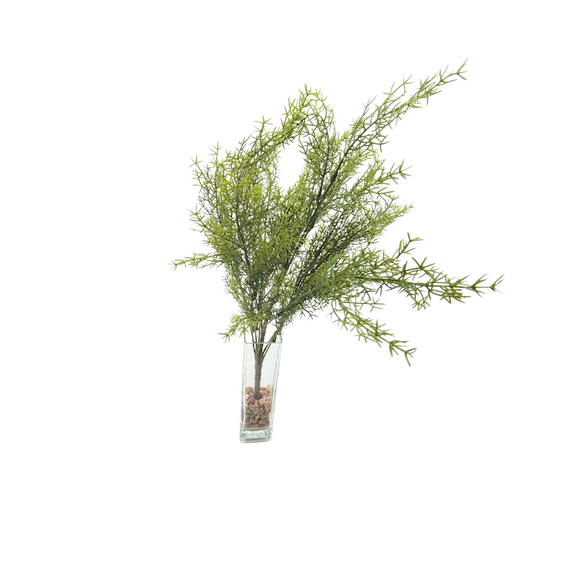 Follaje espárrago verde 50cm