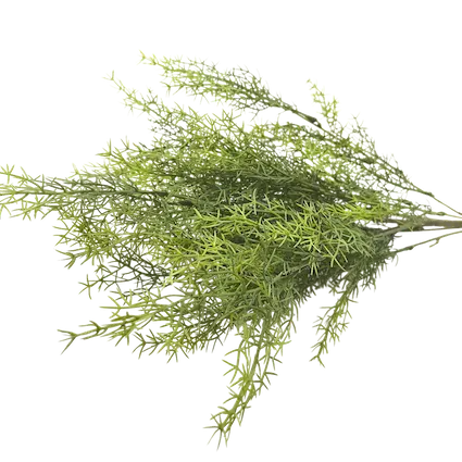 Follaje espárrago verde 50cm