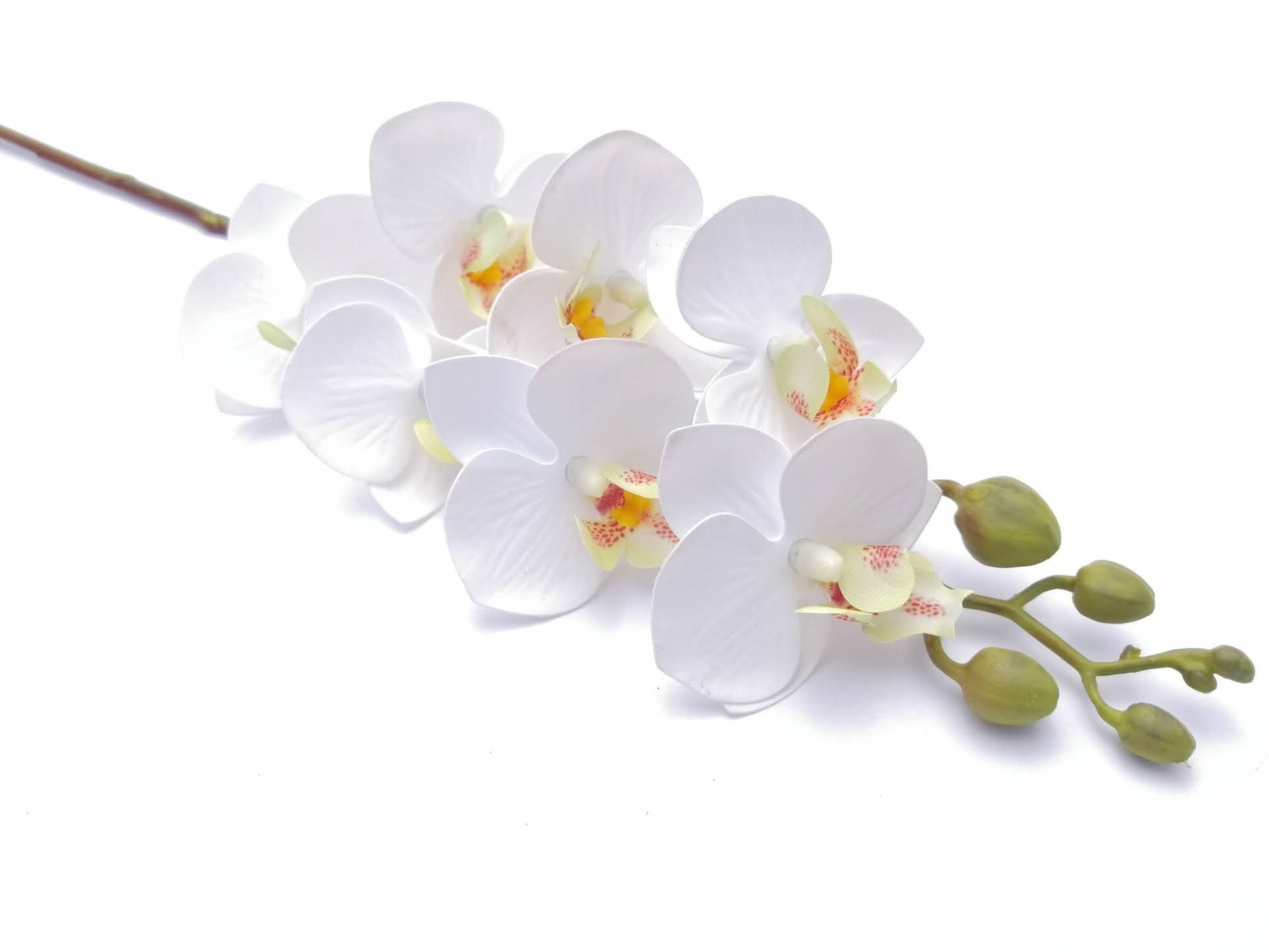 Orquídea chica phalaenopsis de 7 flores, 64cm largo