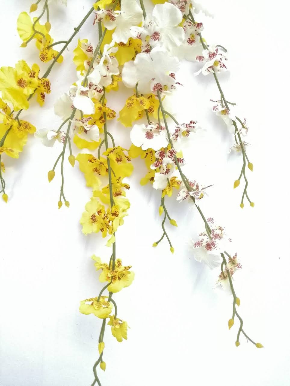 Orquídea Oncidium 85cm largo: amarilla y blanca