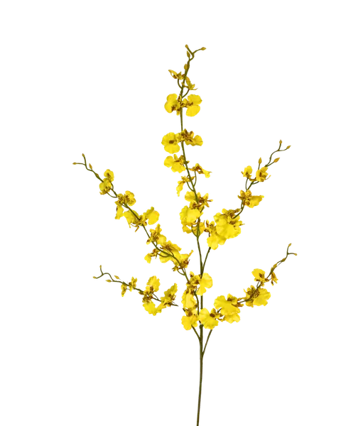 Orquídea Oncidium 85cm largo: amarilla y blanca