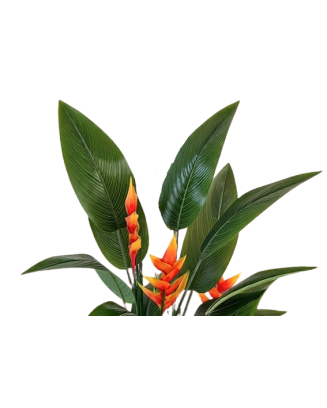 Planta heliconia 150cm
