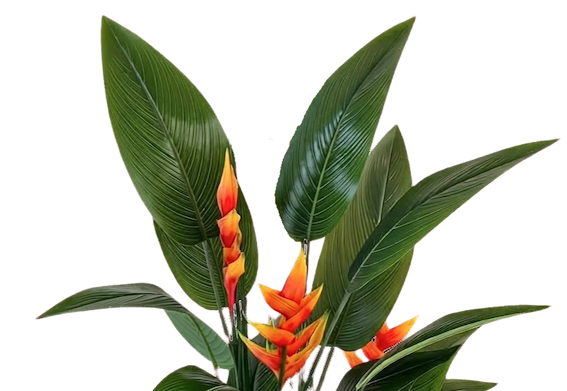 Planta heliconia 150cm