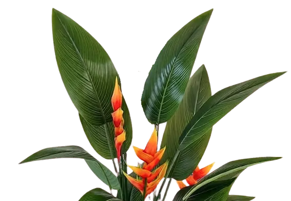 Planta heliconia 150cm