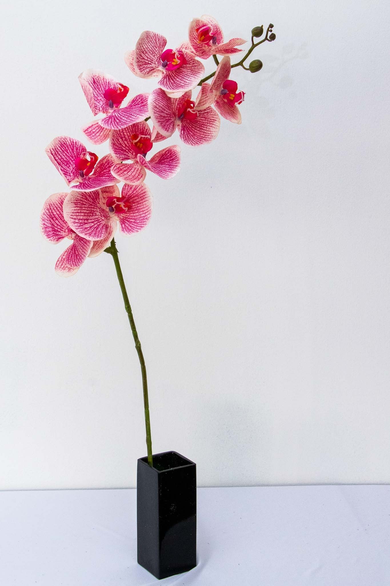 Orquidea Tary 110cm altura, varios colores