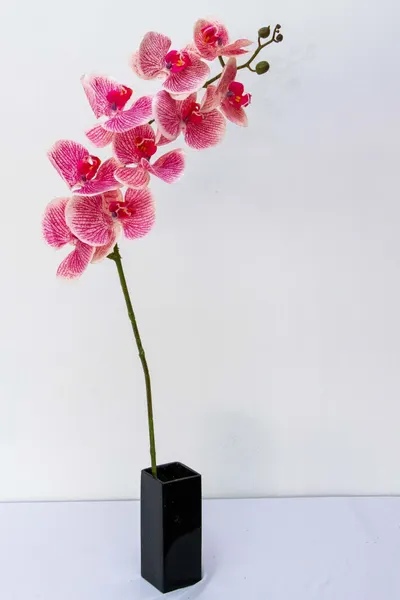 Orquidea Tary 110cm altura, varios colores