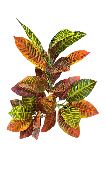 Vara de crotos naranja 90cm